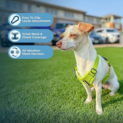 Best Pet Supplies Voyager Step-in Air Harness - All Weather Mesh, Reflective, No Pull Harness for Dogs, Cats - Secure with Hook & Loop Fastener, Buckle, Double D-Rings - Lime Green, XL