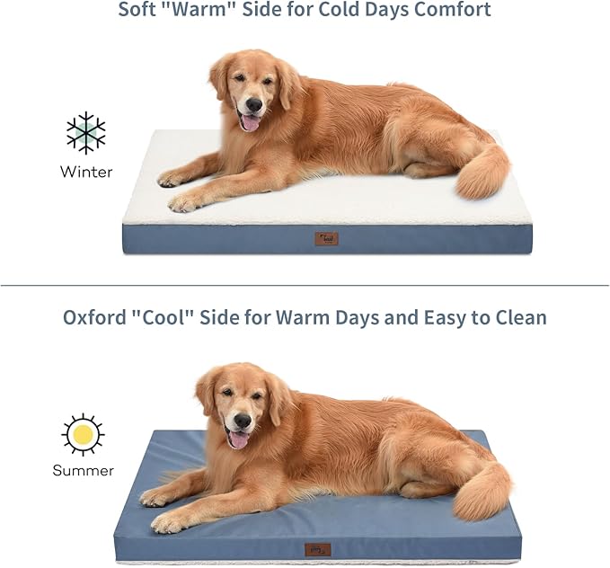 Tail Stories Orthopedic Dog Bed for Extra Large Dogs, XL Comfort Pet Mat for Large Sized Dog 44x32 Inch, Egg Crate Foam with Removable Washable Oxford Cover, Blue White