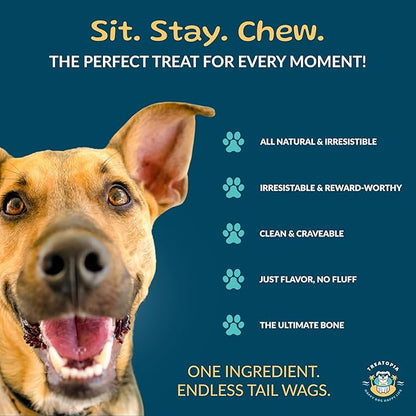 TREATOPIA Adventure Beef Marrow Dog Bones, Dynamo, 3”, 3 PC - All-Natural, Center-Cut, Long-Lasting, Healthy, Single Ingredient, Hand-Trimmed, Slow-Roasted, Made in The USA, No Additives