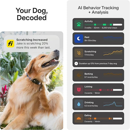 New Fi Series 3+ Smart Dog Tracker Collar [6 Month Membership Included] GPS Tracker for Dogs with Health & Behavior Monitoring, Escape Alerts, Waterproof, LED, Apple Watch Compatible (Gray, Large)