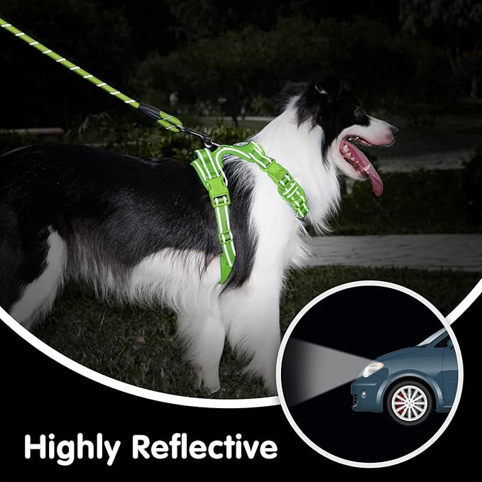 PoyPet No Pull Dog Harness and 5 Feet Leash Set, Release on Neck Reflective Adjustable Pet Vest, Front & Back 2 D-Ring and Soft Padded Pet Harness with Handle for Small to Large Dogs(Green,L)