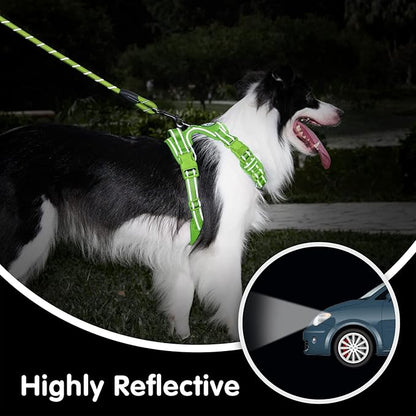 PoyPet No Pull Dog Harness and 5 Feet Leash Set, Release on Neck Reflective Adjustable Pet Vest, Front & Back 2 D-Ring and Soft Padded Pet Harness with Handle for Small to Large Dogs(Green,L)