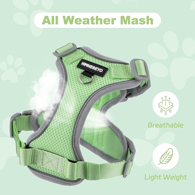 Small Dog Harness and Leash Set, No Pull Adjustable Pet Harness for Small Dogs, Breathable Mesh Rflective Dog Vest Harness (Green, M)