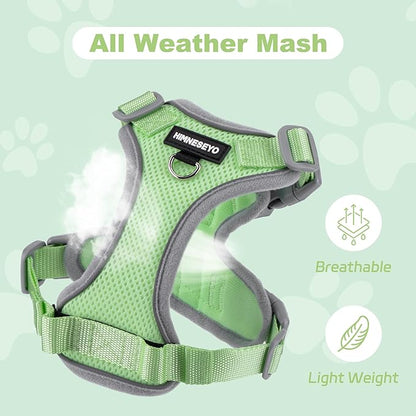 Small Dog Harness and Leash Set, No Pull Adjustable Pet Harness for Small Dogs, Breathable Mesh Rflective Dog Vest Harness (Green, M)