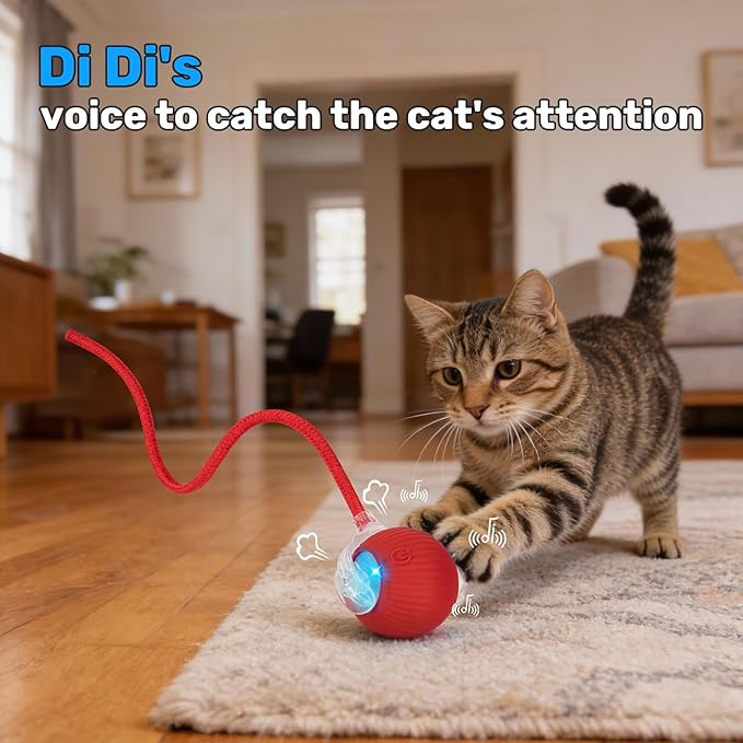 JINDILONG Cat Toy, Electric Interactive Toys for Indoor Cats, Red