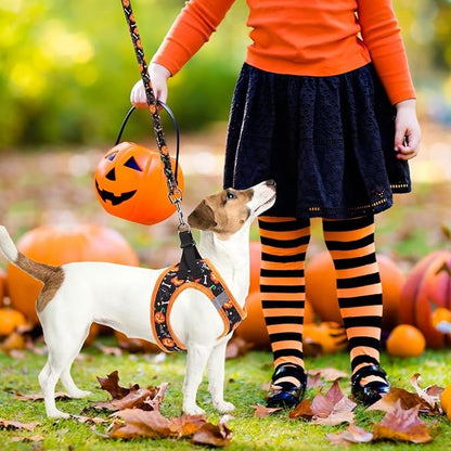 PUPTECK Adjustable Dog Harness Collar and Leash Set Step in No Pull Pet Harness for Small Medium Dogs Puppy and Cats Outdoor Walking Running, Soft Mesh Padded Reflective Vest Harnesses, Halloween, XS