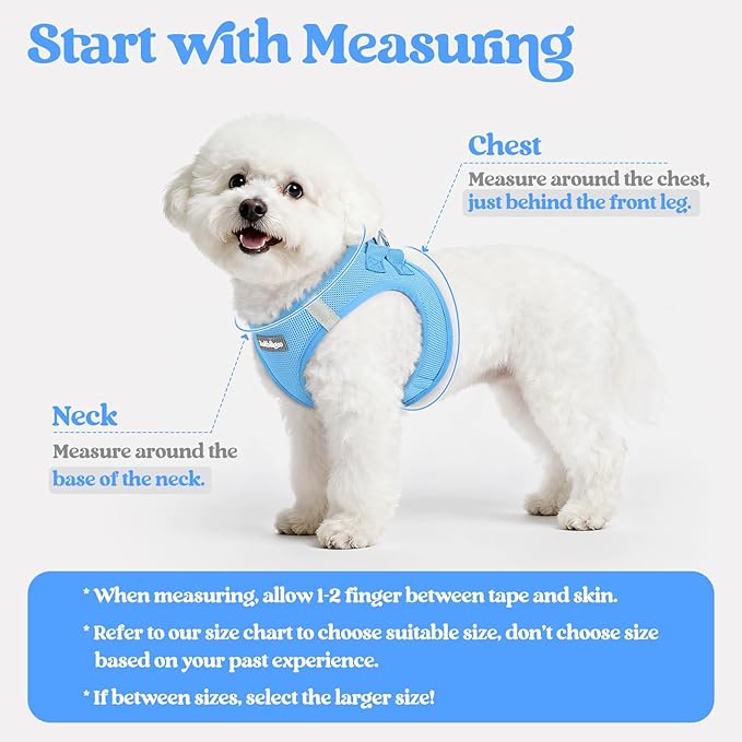 rabbitgoo Dog Harness Medium Sized and Leash Set, Step in Soft Light Puppy Vest, Breathable Mesh Pet Harness, Reflective for Safe Easy Walking, Blue XXL