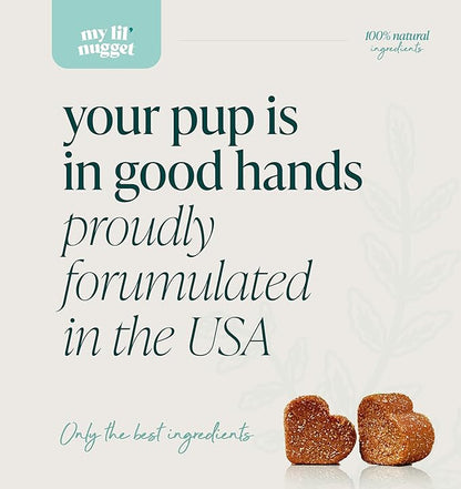 My Lil' Nugget – Vet-Approved Calming Chews for Dogs | All-Natural Calm Treat for Noise, Travel & Home Alone | Hemp, Chamomile & Melatonin | All-Ages - Senior Dog to Puppy | 90 Beef‑Flavor Soft Chews
