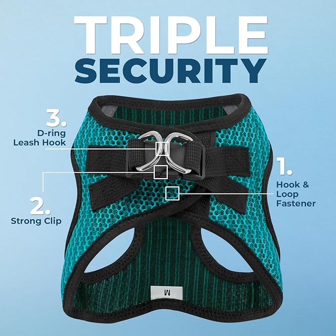Best Pet Supplies Voyager Step-in Air Harness - All Weather Mesh, Reflective, No Pull Harness for Dogs, Cats - Secure with Hook & Loop Fastener, Buckle, Double D-Rings - Turqupise 2-Tone, XL
