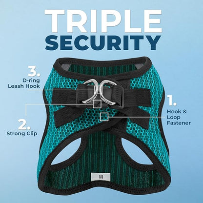 Best Pet Supplies Voyager Step-in Air Harness - All Weather Mesh, Reflective, No Pull Harness for Dogs, Cats - Secure with Hook & Loop Fastener, Buckle, Double D-Rings - Turqupise 2-Tone, XL