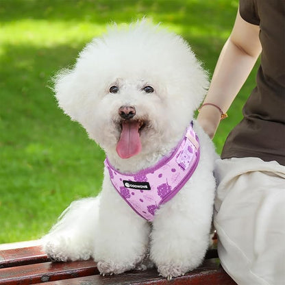 Dog Harness and Leash Set, Adjustable Dog Harness, Dog Leash, No Pull No Choke Puppy Harnesses for Walking Training for Small Medium Pet (Wines, M(Chest 15.7-22.1", Neck 12-15"))