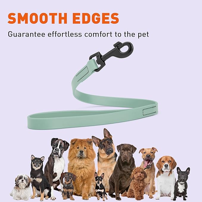 Dogline Biothane Waterproof Dog Leash Strong Coated Nylon Webbing with Black Hardware Odor-Proof Easy to Clean High Performance for Small or Large Dogs Made in USA 2 ft Lead, Sage Green