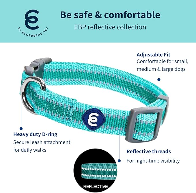 Blueberry Pet Essentials Matching Small Dog Collar | Adjustable Classic Solid Color Nylon Dog Collars for Small Dogs | Reflective Minty Green Dog Collar for Small Dogs