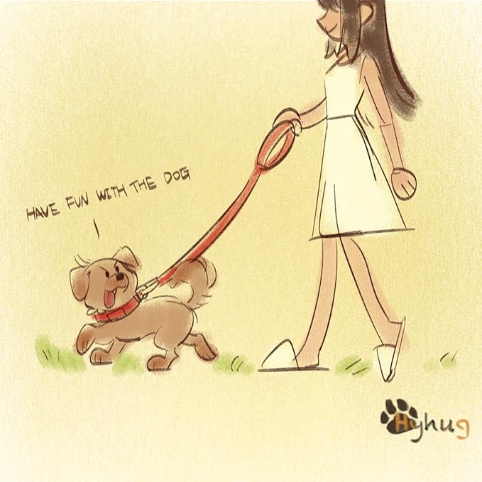 Hyhug Pets 24 Inches Heavy Duty Short Leash with Comfortable Handle and Lightweight Aviation Aluminium Clip Lead- for Large Medium Dogs Daily Walking and Training. (24 Inches, Sleet Gray)