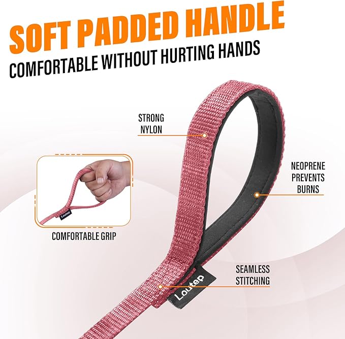 Dog Training Leash - Long Line for Recall & Obedience, Nylon Training Lead with Padded Handle, 15 ft / 20 ft / 30 ft / 50 ft / 100 ft - Long Leash for Dogs Outside, Small/Medium/Large