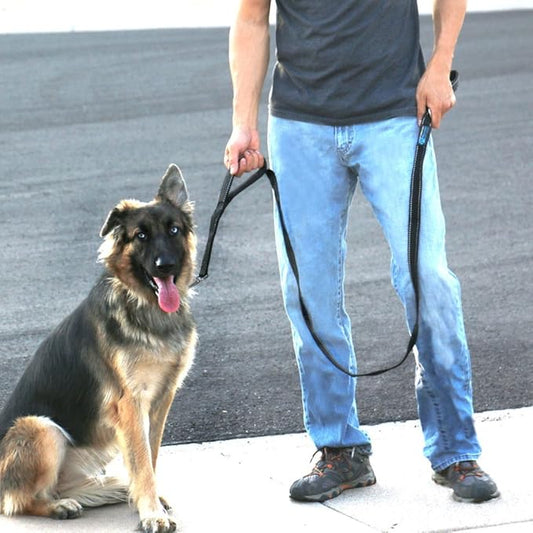 Max and Neo Double Handle Traffic Dog Leash - Reflective, Donates to Dog Rescue (Black, 6 FT)
