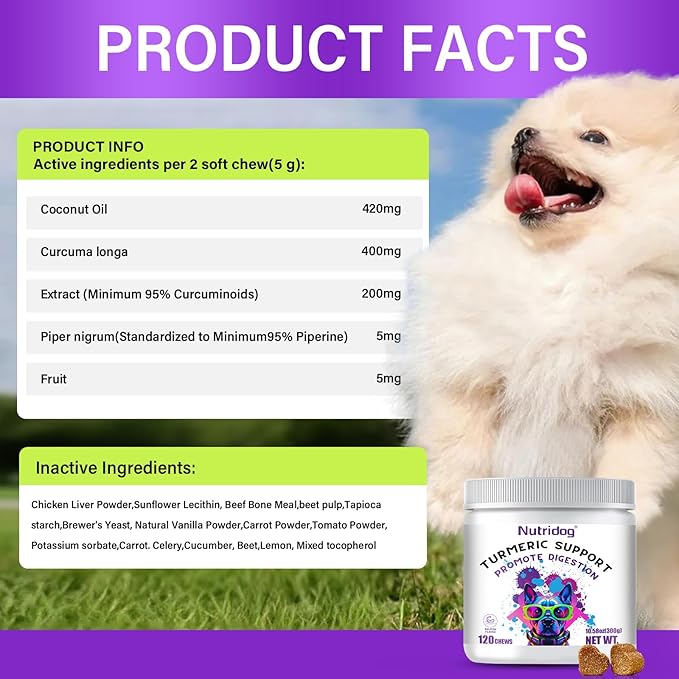 Turmeric Chews for Dogs with Curcumin & Coconut Oil Joint Pain Relief, Anti-Inflammatory Antioxidant Support, 120 Salmon-Flavored Soft Chews for Hip & Joint Mobility (120 Ct, Salmon)