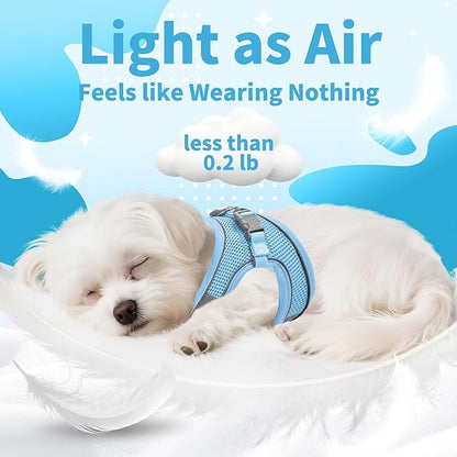 AIITLE No Pull Dog Harness and Leash Set, Step in Adjustable Dog Harness with Padded Vest for All Weather, Dog Leash with Soft Padded Handle, Easy to Put on Small and Medium Dogs Pure Blue S