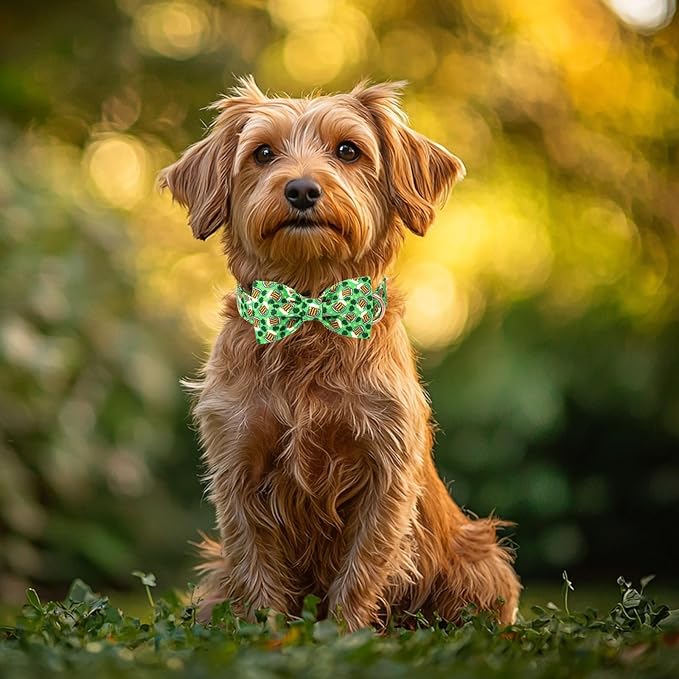 St Patricks Day Dog Collar with Bow Tie - Cotton Beer Clover Green Bowtie Dog Collar Adjustable Heavy Duty Holiday Dog Collars for Small Medium Large Dogs XL