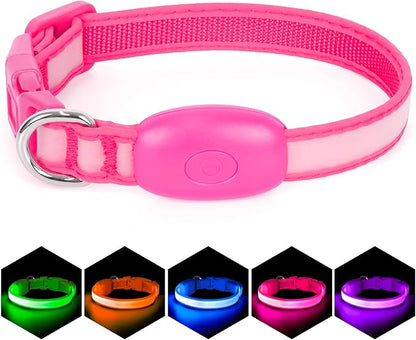 Light up Collar for Small Dog,Vizpet XS Adjustable Size Nylon Collar USB Rechargeable Bright Safety Pet Collar for Cats Small Dogs (Pink, X-Small[ 8.66-11.9 inch/22cm-30cm])