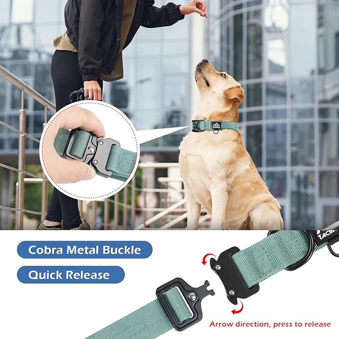 Dog Collar for Large Dogs - Adjustable, Chew Proof Nylon Collar with Metal Quick Release Buckle and D-Ring for Dog Tags (Florida Seaside, L(1''Width, Fit 14''-20''))