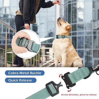 Dog Collar for Large Dogs - Adjustable, Chew Proof Nylon Collar with Metal Quick Release Buckle and D-Ring for Dog Tags (Florida Seaside, L(1''Width, Fit 14''-20''))