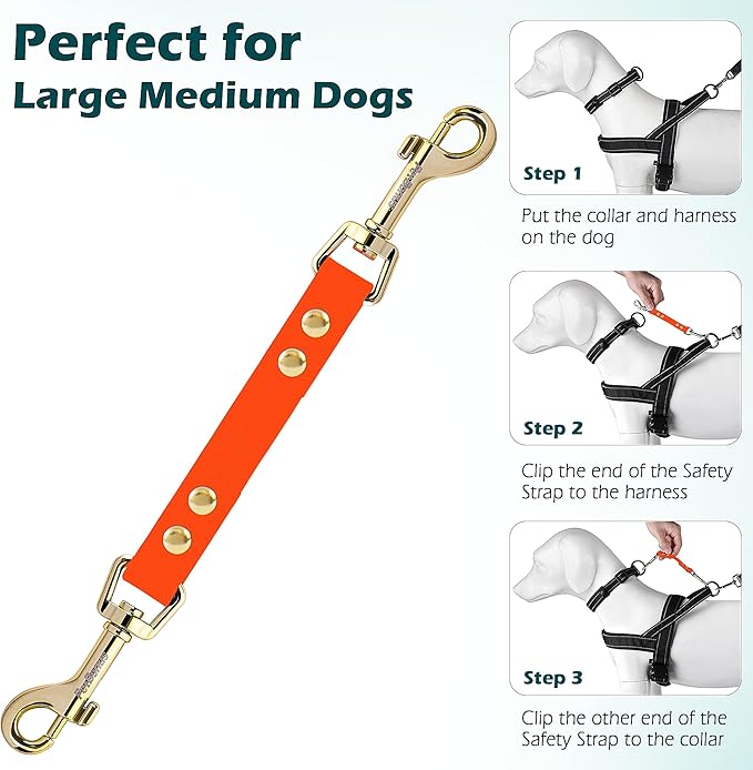 PetBonus Dog Collar Safety Clip, Waterproof Backup Safety Strap for Dog Harness to Prong Collar, Odor Proof Double Ended Clasp Leash Connector for Training Walking (Orange)