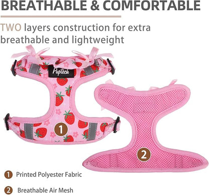 PUPTECK Dog Harness and Leash Set Small Sized, Step in No Pull Adjustable Puppy Cat Harness Reflective Pet Vest