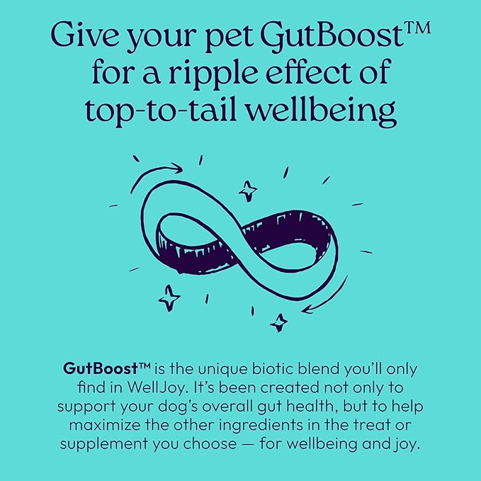 New! WellJoy Dog Supplement Joint+ GutBoost | Dog Health Supplement | Supports Healthy Flexible Joints | Dual-Benefit GutBoost Formulation | Vet Formulated | USA Made | Chicken Flavor | 90 Soft Chews