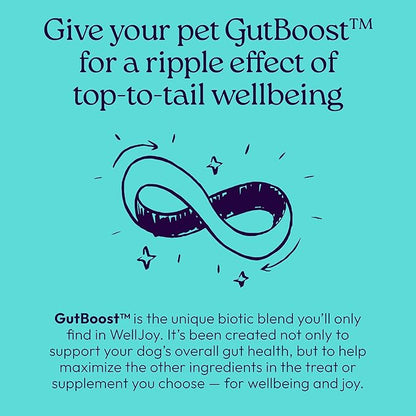 New! WellJoy Dog Supplement Joint+ GutBoost | Dog Health Supplement | Supports Healthy Flexible Joints | Dual-Benefit GutBoost Formulation | Vet Formulated | USA Made | Chicken Flavor | 90 Soft Chews