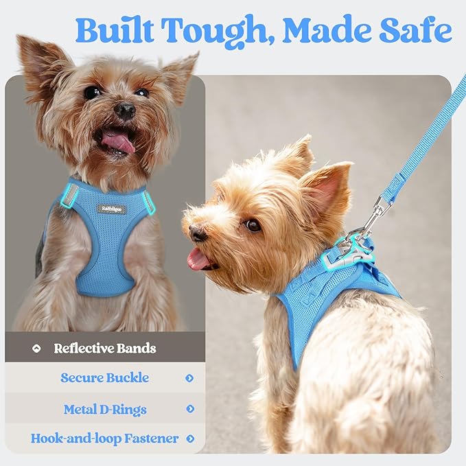 rabbitgoo Dog Harness Small Sized and Leash Set, Step in Soft Light Puppy Vest, Breathable Mesh Pet Harness, Reflective for Safe Easy Walking, Blue XXS