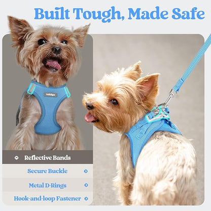 rabbitgoo Dog Harness Small Sized and Leash Set, Step in Soft Light Puppy Vest, Breathable Mesh Pet Harness, Reflective for Safe Easy Walking, Blue XXS