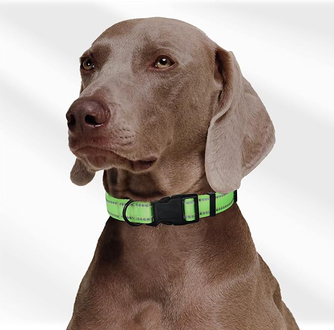 Mile High Life Reflective Dog Collar, Basic Dog Collars Adjustable Quick Release, Soft Nylon Pet Collar with Metal D-Ring for Small Medium Large Dogs (Lime, L Neck15-19")