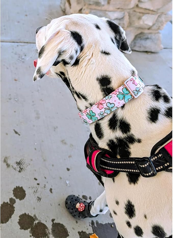 Lionheart glory St. Patrick Dog Collar, Clover Pink Collars for Small Dogs Spring Female Dog Collar Adjustable Heavy-Duty Puppy Collars Pet Gift