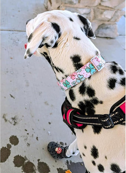 Lionheart glory St. Patrick Dog Collar, Clover Pink Collars for Small Dogs Spring Female Dog Collar Adjustable Heavy-Duty Puppy Collars Pet Gift