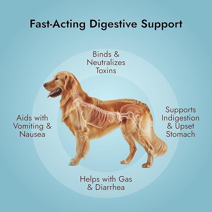 Pet Vet Flavored Activated Charcoal Gel for Dogs & Cats (60ml Bottle), Dog First Aid Activated Charcoal, Absorbs Toxins, Supports Poisoning, Diarrhea & Gas Relief, Emergency Pet Dog Supplies (Beef)