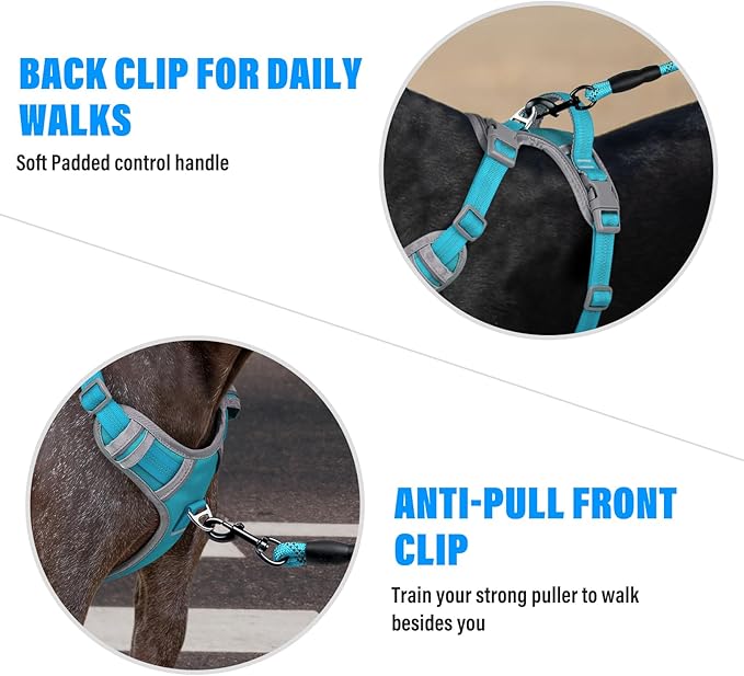 Plutus Pet No Pull Dog Harness, Release at Neck, Reflective Adjustable Dog Vest Harness, Easy Control Handle for Walking, for Small Medium Large Dogs, Cyan, S