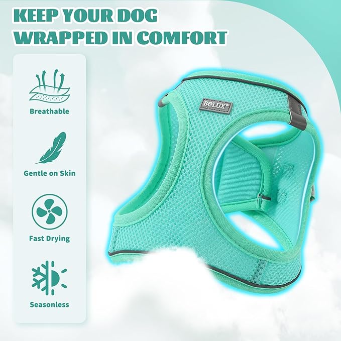 Bolux Dog Harness Small Sized and Leash Set, Step in Soft Light Puppy Vest, Breathable Mesh Pet Harness, Reflective for Safe Easy Walking.