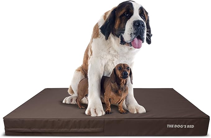 The Dog’s Bed Orthopedic Memory Foam Dog Bed, XXXL 6Inch Brown with Brown Piping, Pain Relief for Arthritis, Hip & Elbow Dysplasia, Waterproof Washable Cover, Veterinary Approved