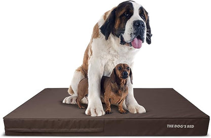 The Dog’s Bed Orthopedic Memory Foam Dog Bed, XXXL 6Inch Brown with Brown Piping, Pain Relief for Arthritis, Hip & Elbow Dysplasia, Waterproof Washable Cover, Veterinary Approved