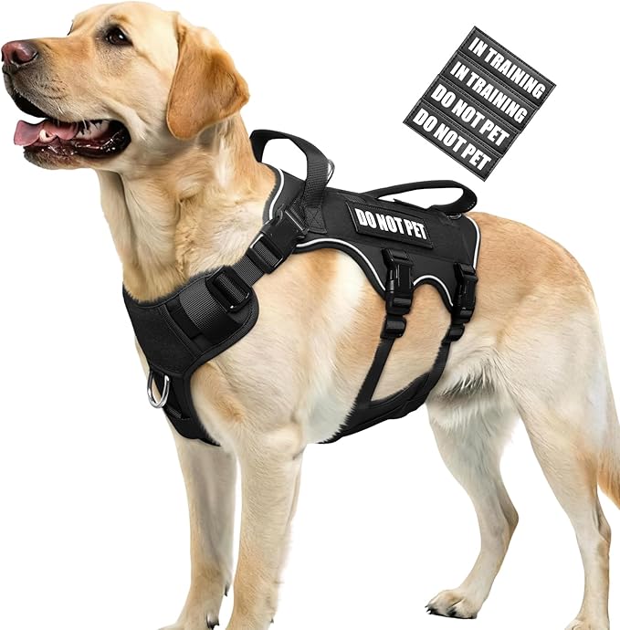 WINSEE Escape Proof Dog Harness, Service Working Molle Harness with Double Handle, Tactical Pet Vest with 4 Patches for Small Medium Large Dogs Walking Hiking Hunting