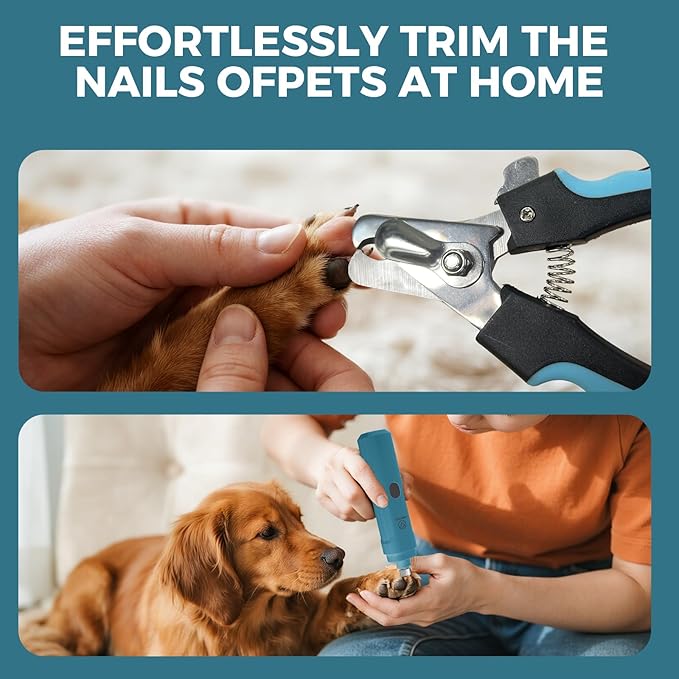 PAPIFFEED Dog Nail Clippers & Grinder with Manual Nail Clipper – Quiet 3-Speed Electric Dog Nail Trimmers with Dual LED, Rechargeable Pet Nail File for Dogs & Cats (Blue)