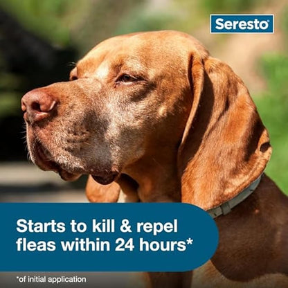 Seresto Flea & Tick Collar For Dogs Over 18 lbs., Treatment & Prevention, Vet-Recommend, 8 Month Protection
