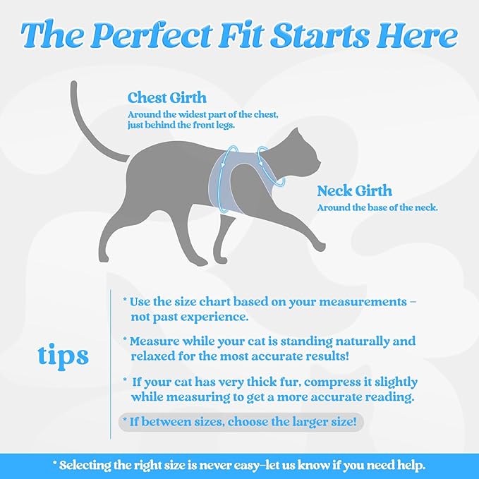 rabbitgoo Cat Harness and Leash Set for Walking Escape Proof, Adjustable Soft Kittens Vest with Reflective Strip for Cats, Comfortable Outdoor Vest, Light Blue, L