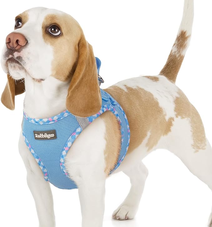 rabbitgoo Small Dog Harness, Step-in Soft Mesh Puppy Vest with Safety Buckle, Breathable Reflective Pet Harness for Small Sized Dogs, Blue & Plaid Trim M