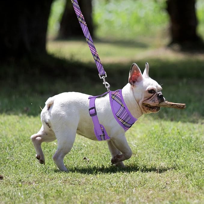 PUPTECK Soft Mesh Dog Harness and Leash Set Pet Puppy Cat Comfort Padded Vest No Pull Harnesses, Purple, M