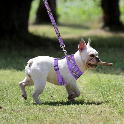 PUPTECK Soft Mesh Dog Harness and Leash Set Pet Puppy Cat Comfort Padded Vest No Pull Harnesses, Purple, L