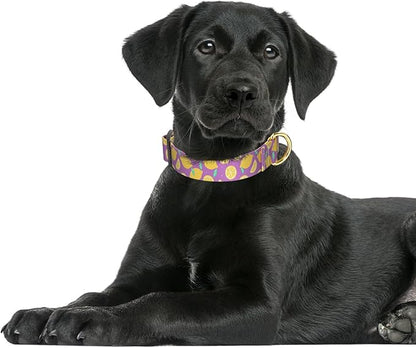 Rnivvi Dog Collar for Large Dogs, Cute Heavy Duty Adjustable Puppy Collar with Quick Release Buckle for Girl & Female, Pet Accessories for Walking Running, L Length 1" Width, Lemon