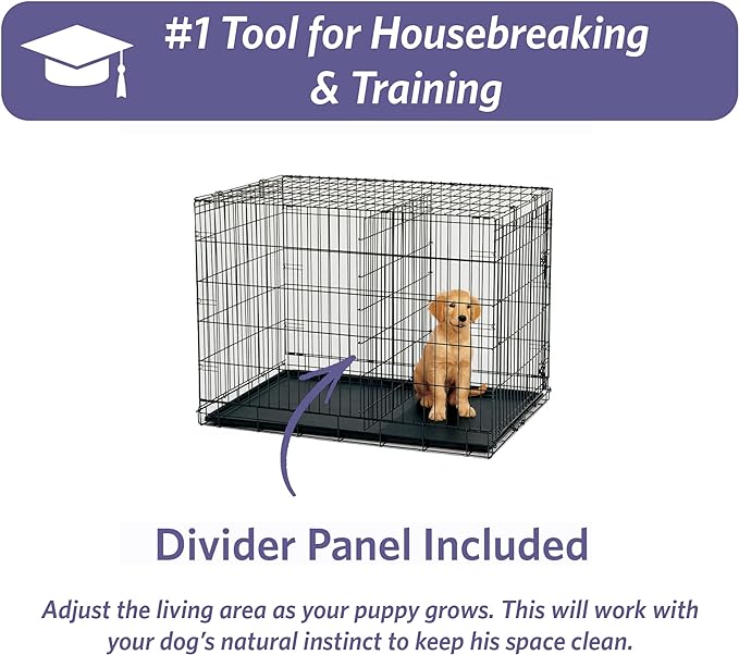 MidWest Homes for Pets 48-Inch iCrate Folding Dog Crate with Divider Panel, Leak-Proof Tray & Secure Latches – Metal Wire Kennel for XL Breeds – Portable, Durable & Easy to Assemble