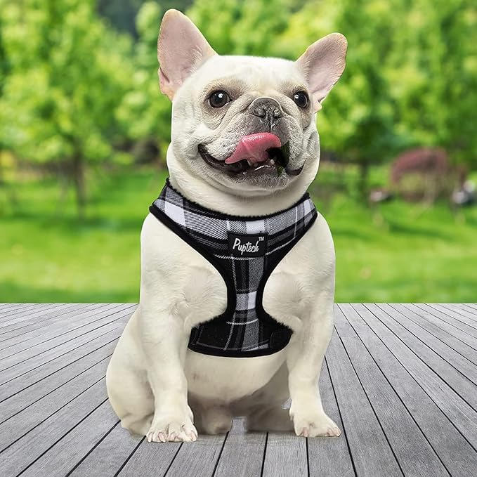 PUPTECK Soft Mesh Dog Harness and Leash Set Pet Puppy Cat Comfort Padded Vest No Pull Harnesses, Black, M